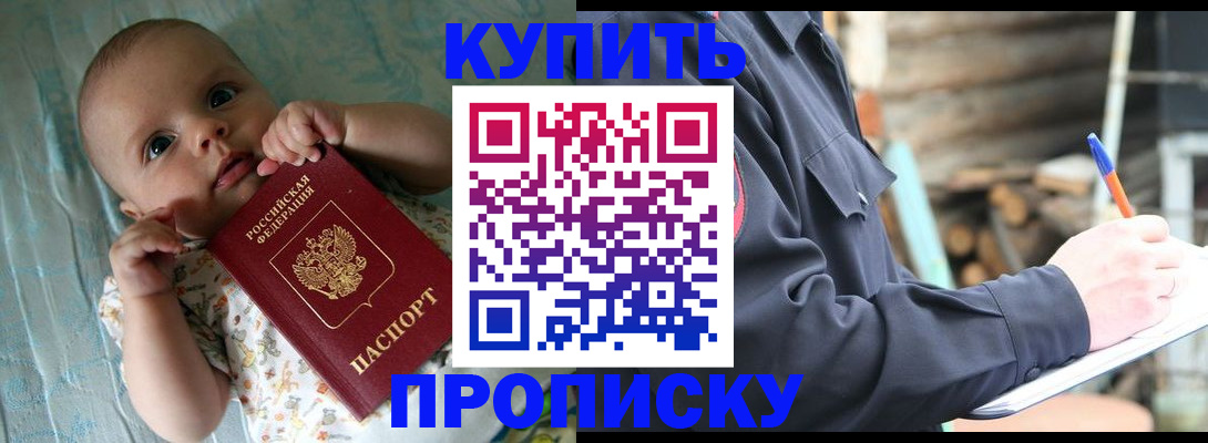 прописка поиск в Пестово